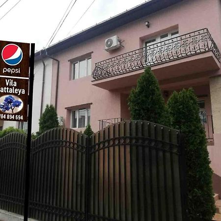 Hotel Casa Cattleya Târgu Jiu Esterno foto